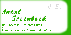 antal steinbock business card